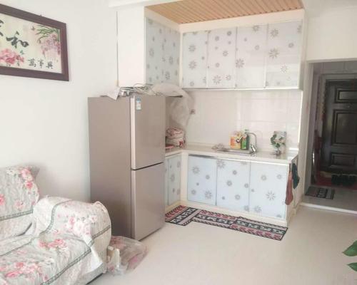 延东劳动局东侧领域东城2楼40平个人家精装适