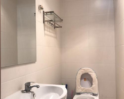 中心区新市场即可拎包入住-中心区西市场 - 延