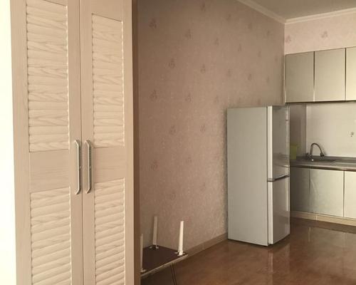 中心区新市场即可拎包入住-中心区西市场 - 延