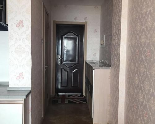 中心区新市场即可拎包入住-中心区西市场 - 延