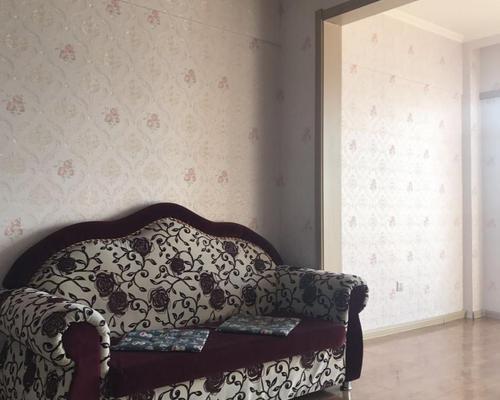 中心区新市场即可拎包入住-中心区西市场 - 延