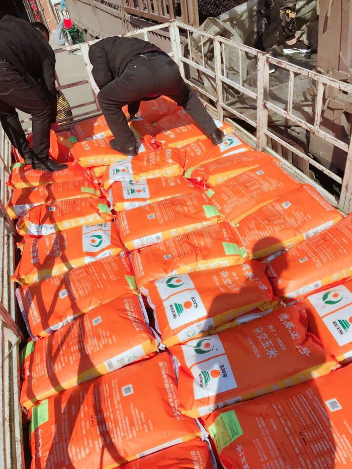 德美亚1号2号玉米种子- - 黑河供求世界