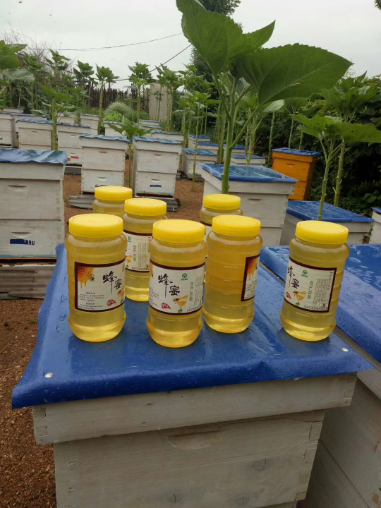 磐石市朝阳山镇老孔蜜蜂园,出售蜂蜜,纯天然,无添加,批发