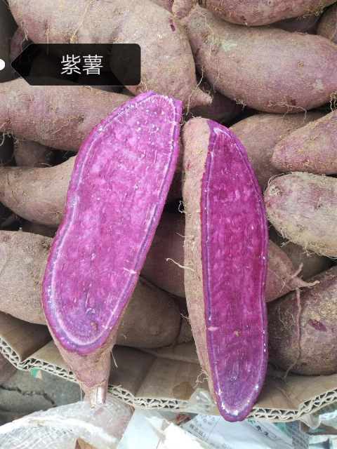 大量供应手捡市场型地瓜,加工厂专用地瓜,品种有:红皮白