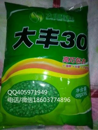 供应先玉335登海605玉米种子