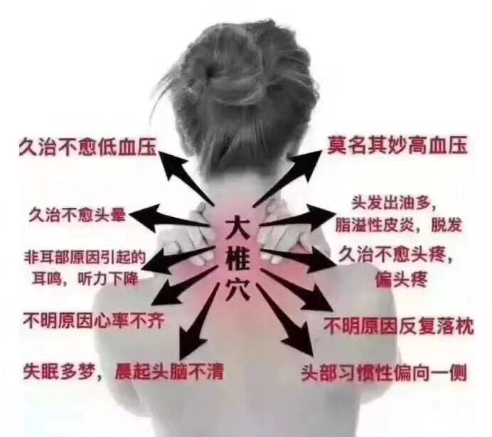 云静阁中医经络养生 经络通 百病除